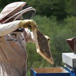 Strój pszczelarza - o czym tak naprawdę trzeba pamiętać